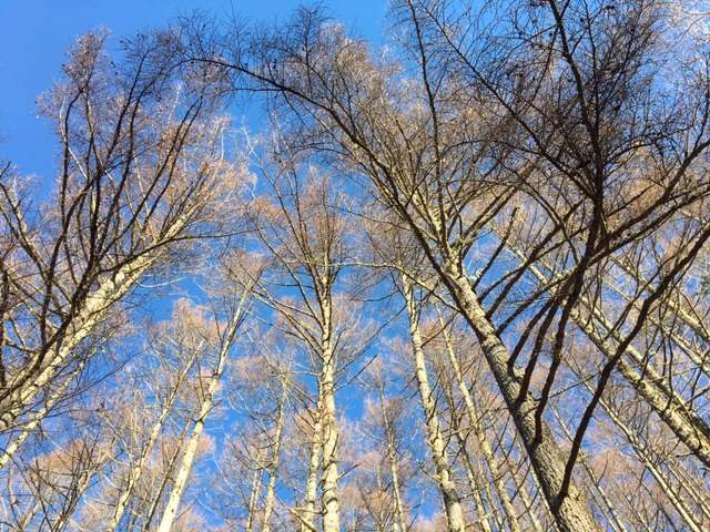2230m mizugaki mountain / 27.Nov