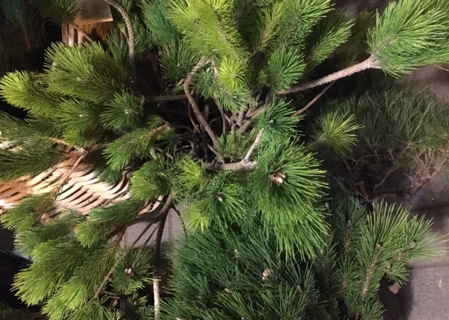 年末年始の営業について